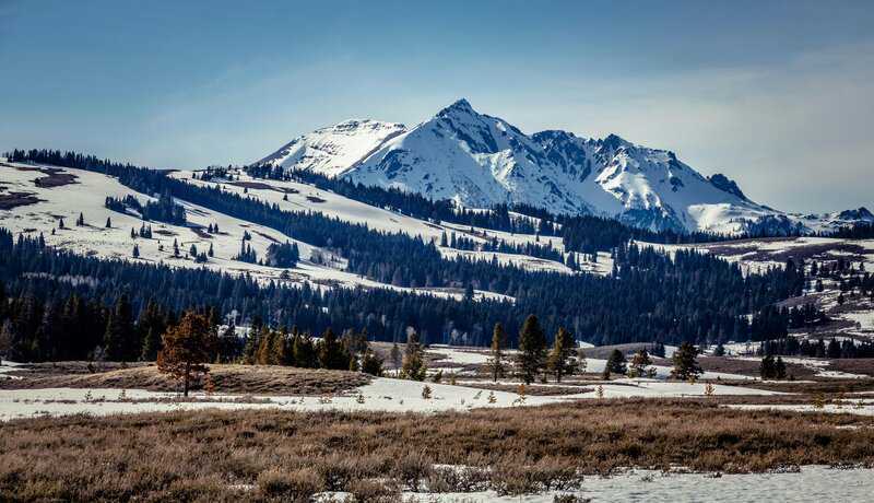Yellowstone